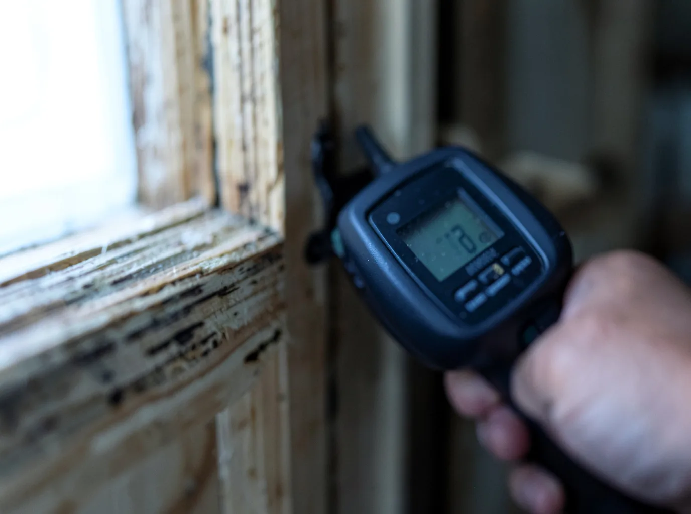 Moisture Inspection And Documentation in Cape May Court House, NJ